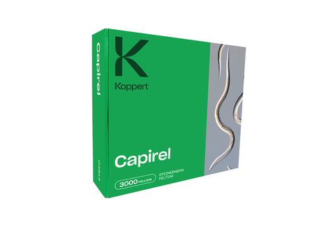 Capirel