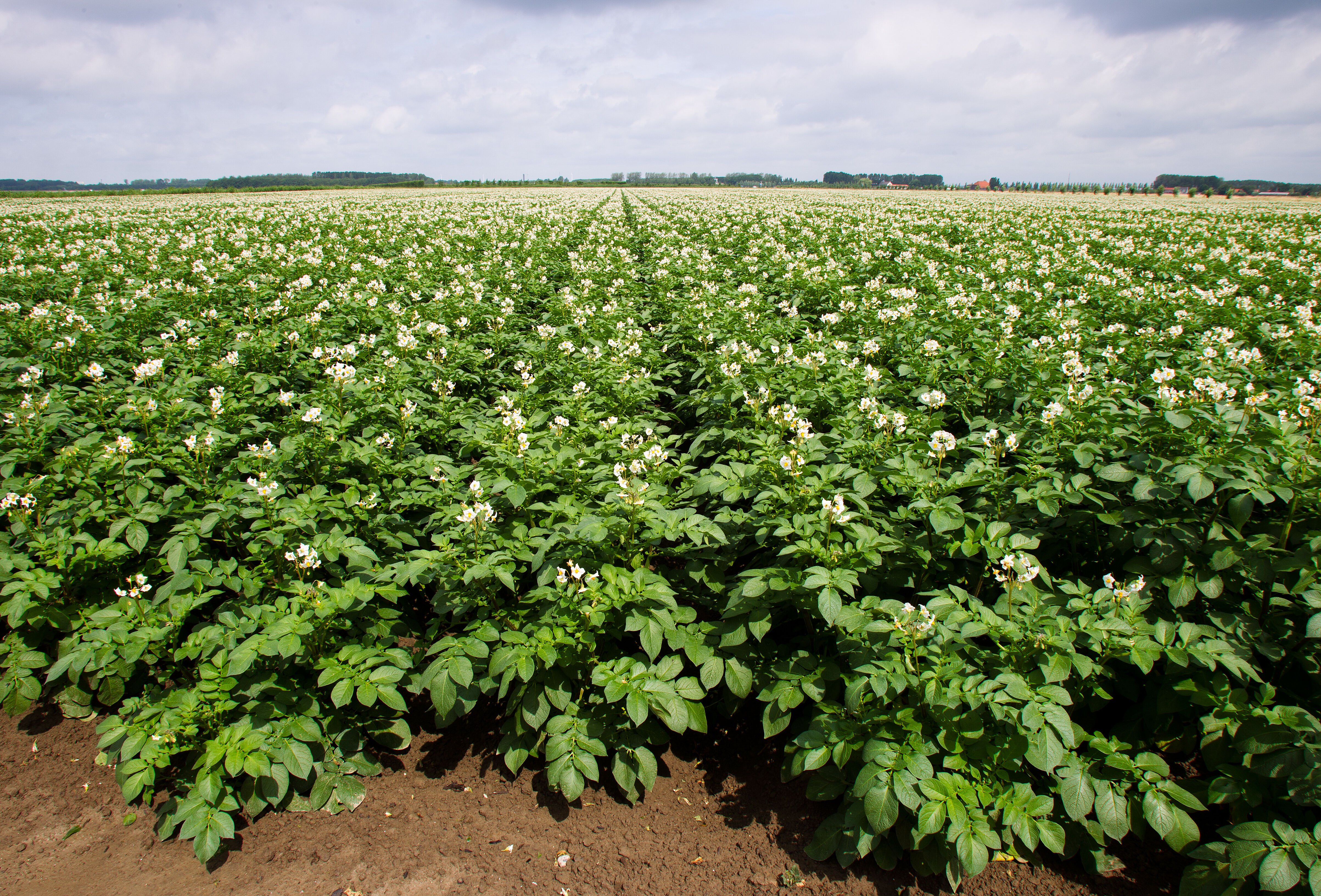 The five main benefits of Integrated Pest Management