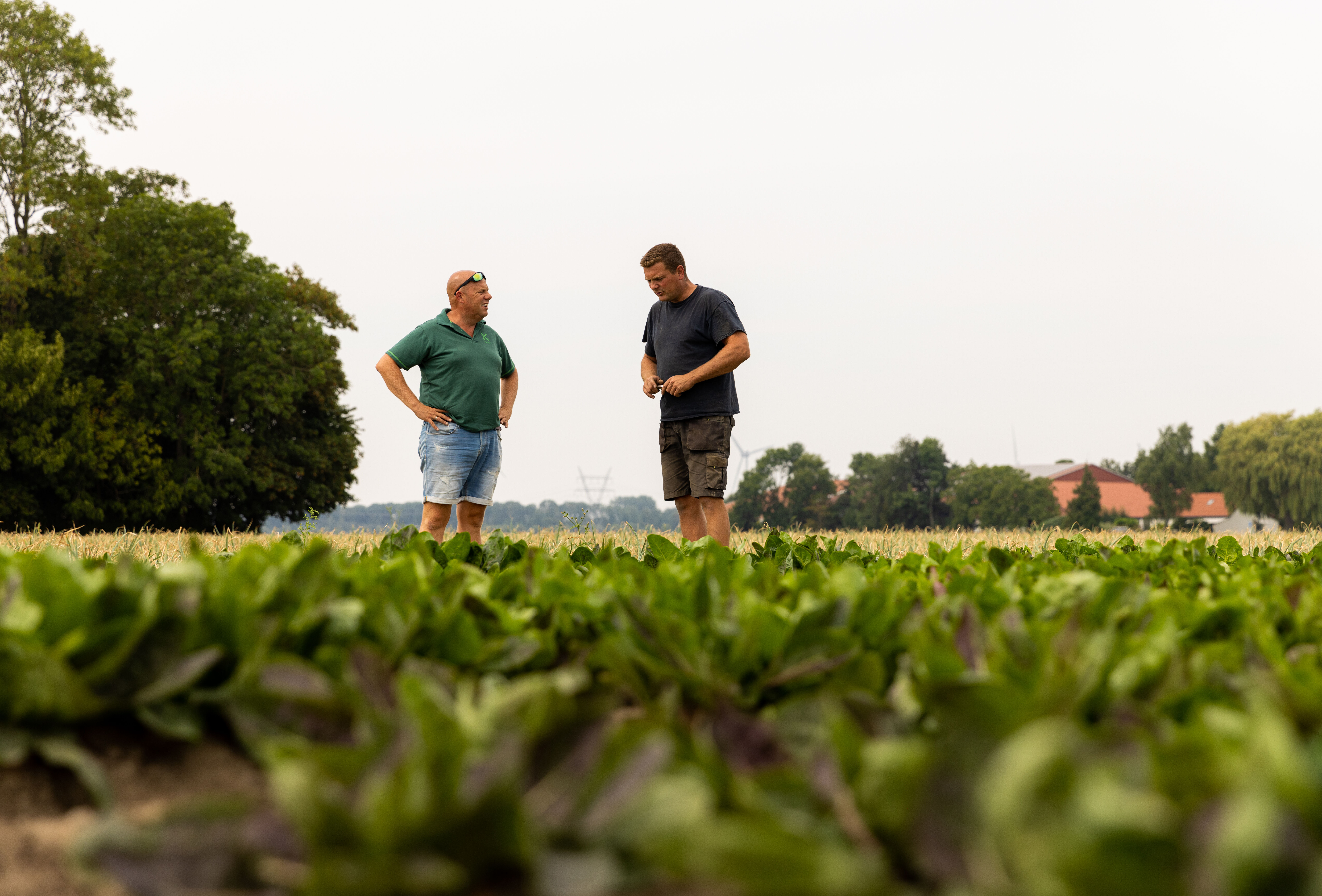 Integrated crop management: the key to sustainable business operations