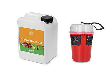 Drosophila suzukii: hang up Drososan in time