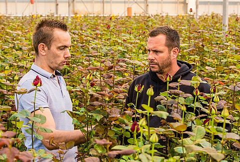 Brockhoff Rozen: 'we'll never stop using NatuGro'