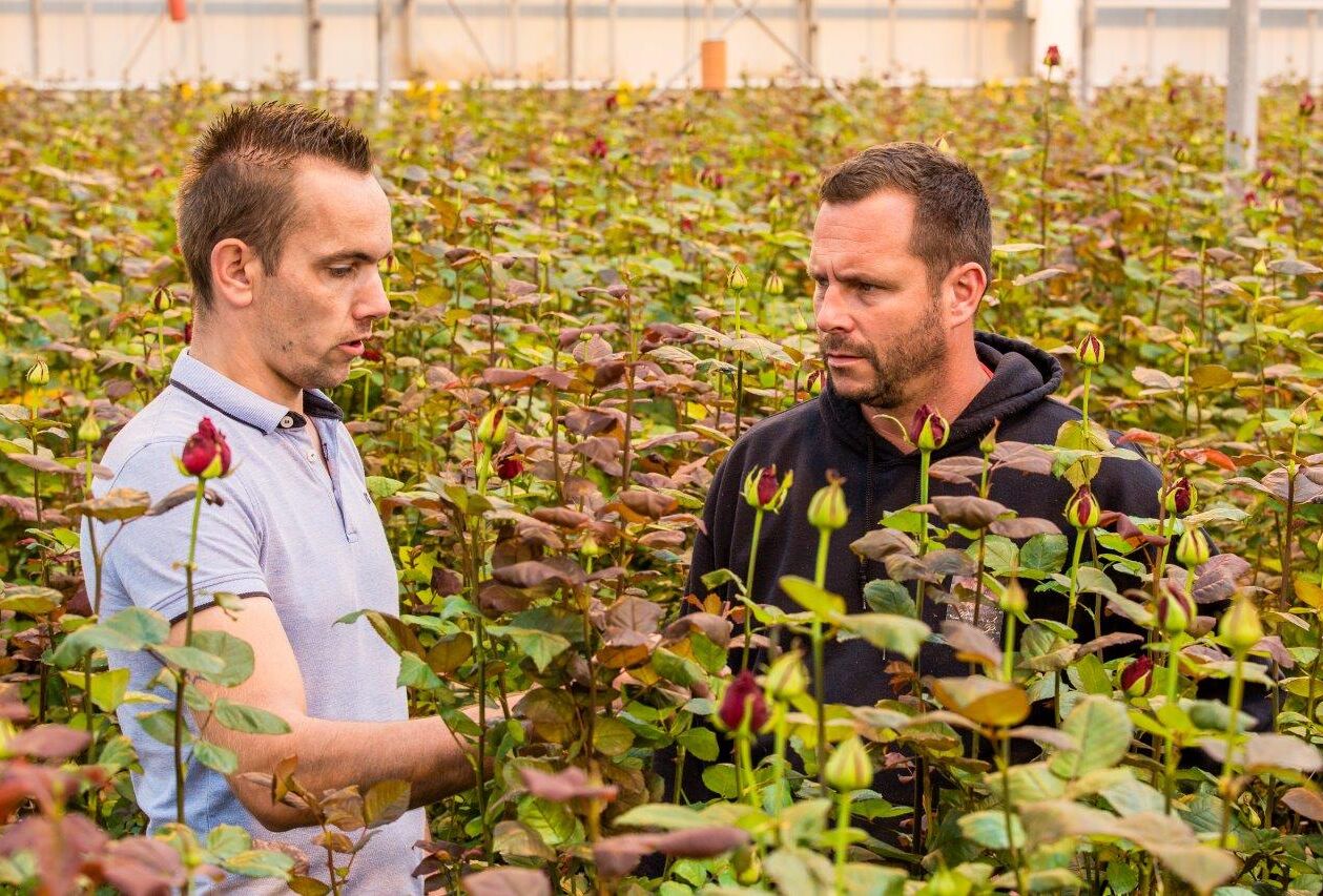 Brockhoff Rozen: 'we'll never stop using NatuGro'