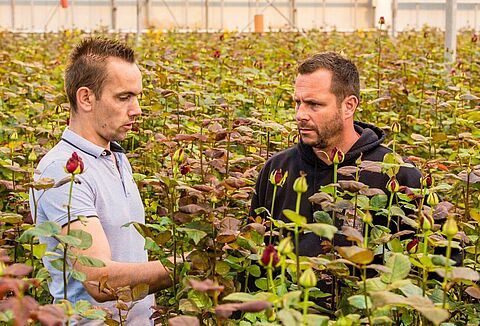 Brockhoff Rozen: 'we'll never stop using NatuGro'