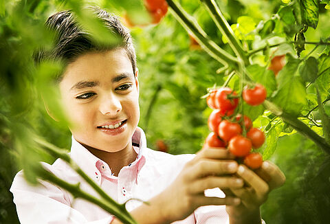 Koppert takes part in Jungle Talks webinar on 23 February