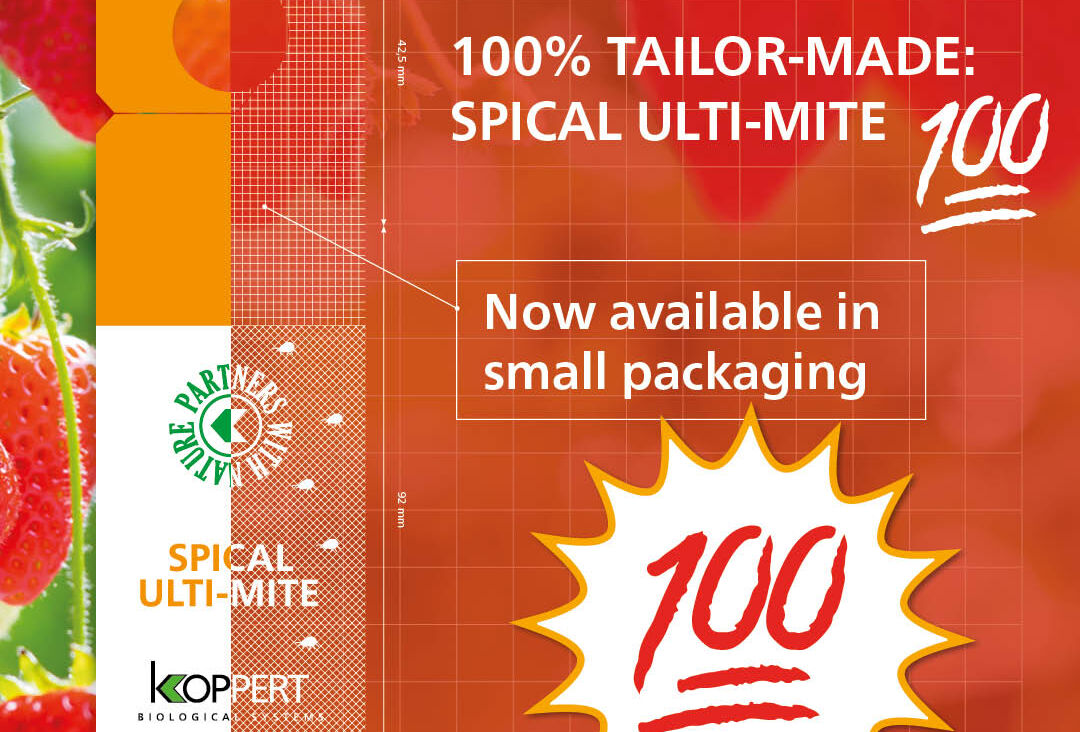 Spical Ulti-Mite now available in handy 100-sachets box
