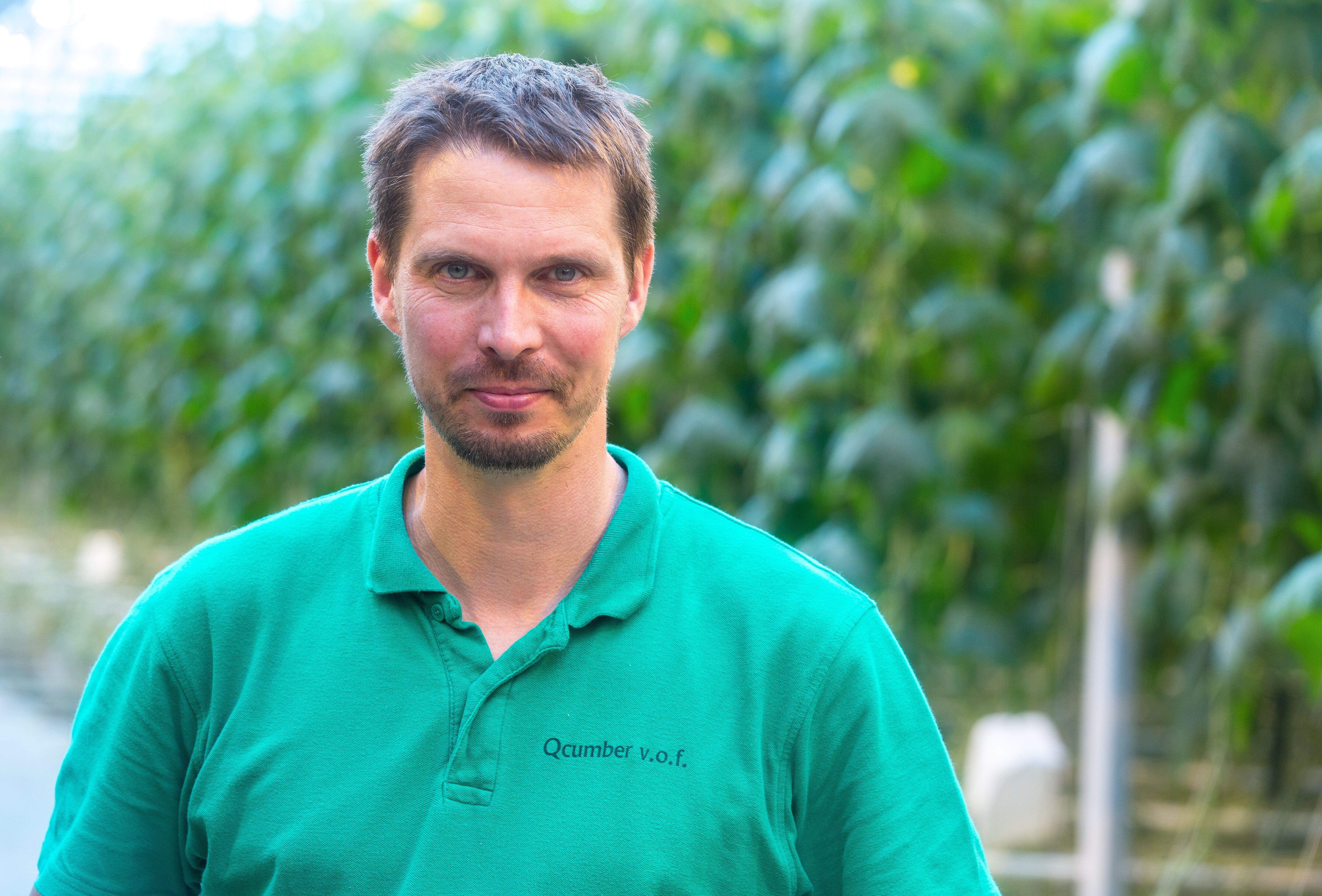 Considerably lower Pythium pressure