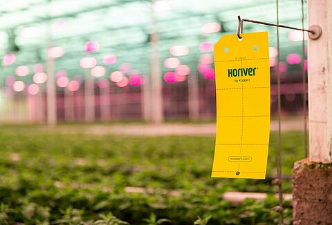 Unveiling new packaging designs for Horiver sticky trap portfolio  