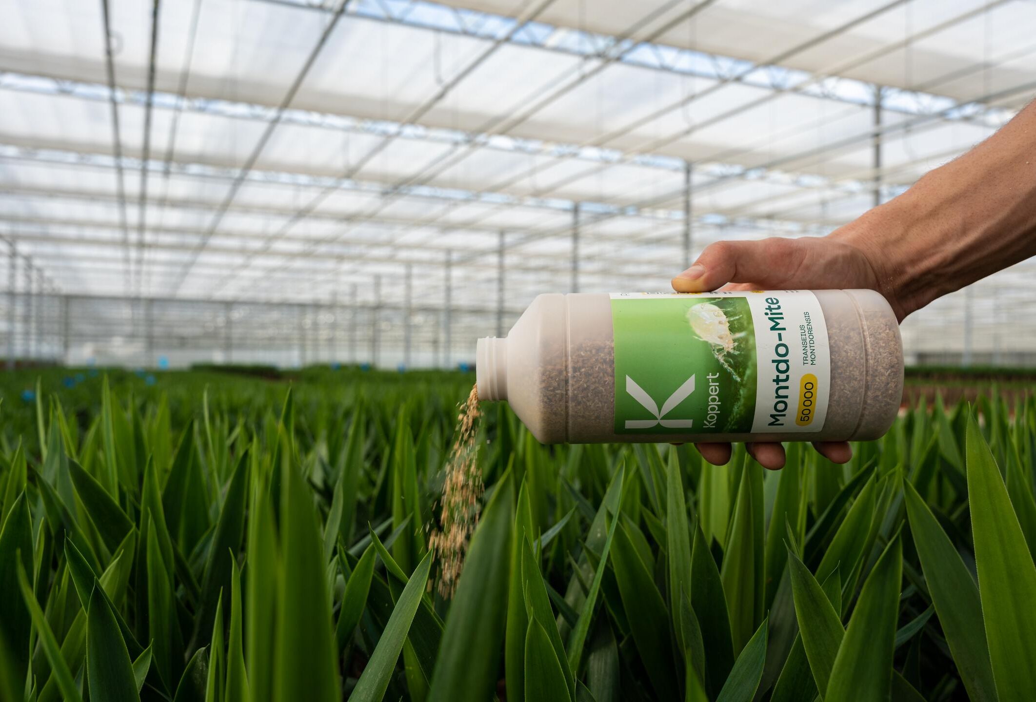 Reducing our CO₂ footprint, one bottle at a time