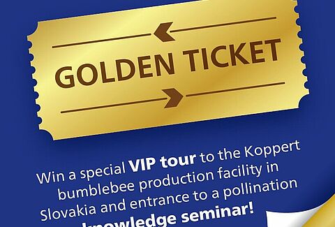 Win your golden ticket!!!