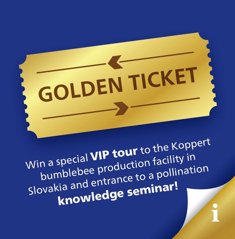 Win your golden ticket!!!