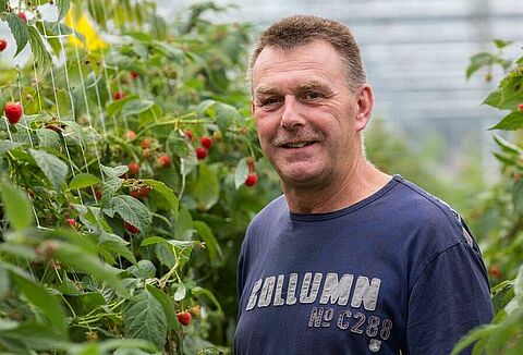 New approach significantly reduces aphids in soft fruits