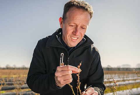 Online GPE course: How to actively prevent pests