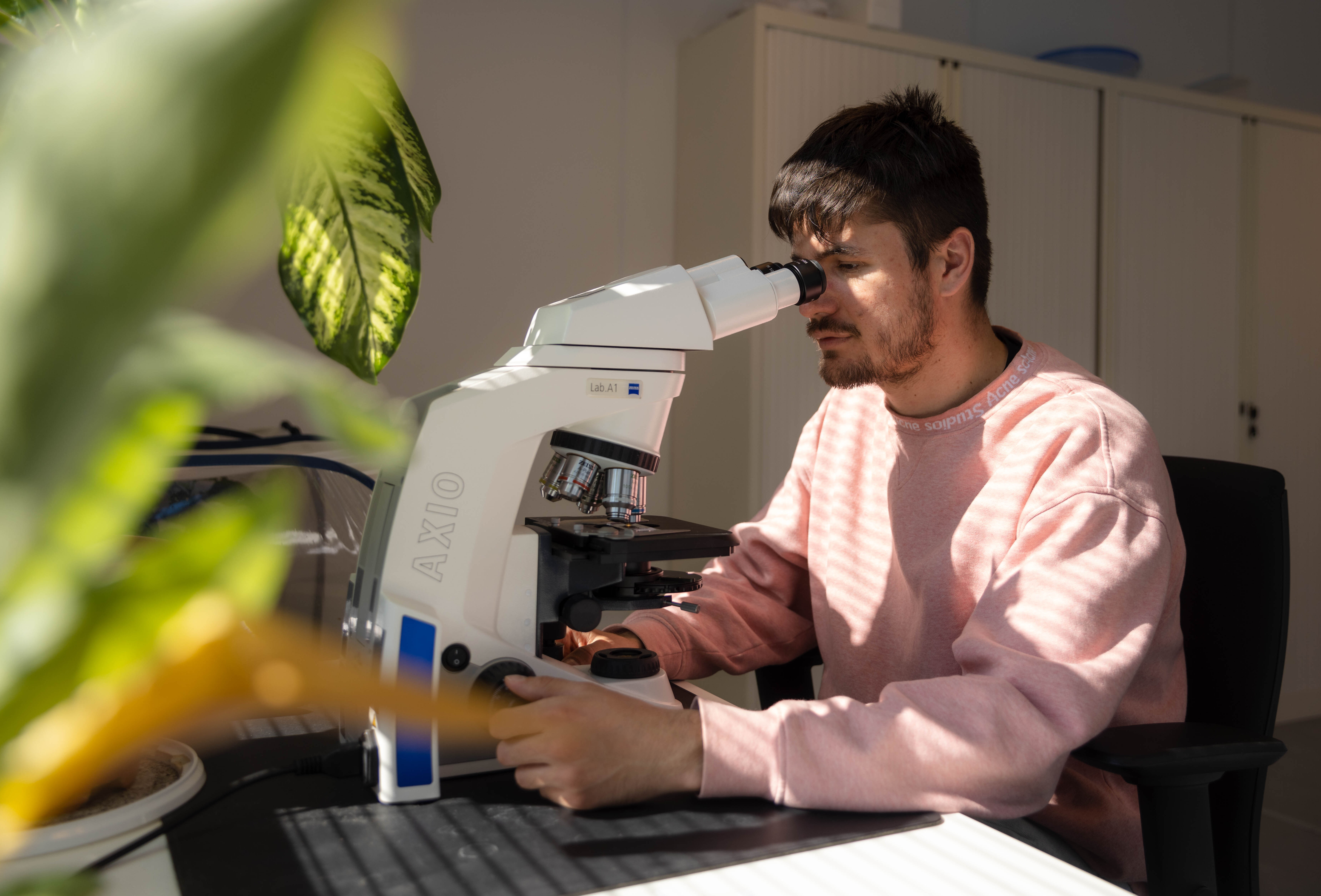 Latest R&D data about the new strain of Myzus persicae