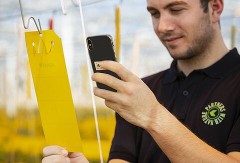 Koppert is investing in smarter scouting