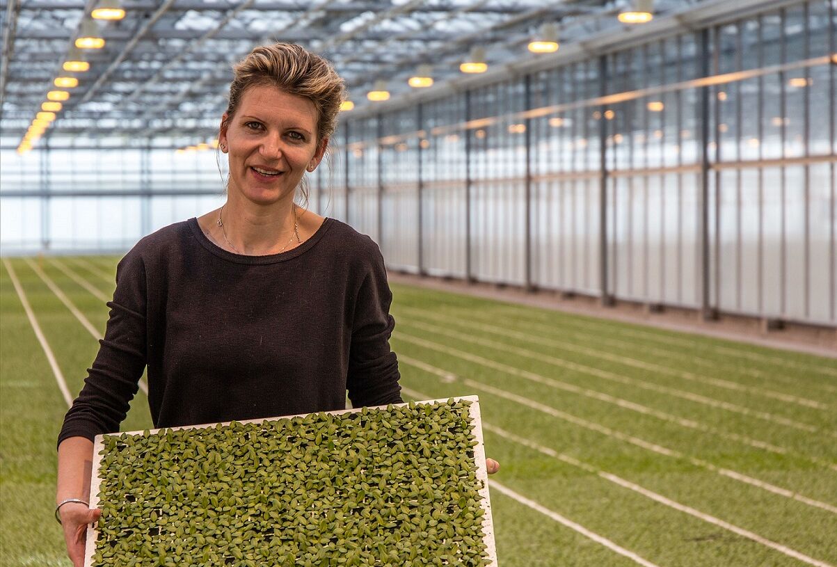 Optimal results with Entonem and Capsanem