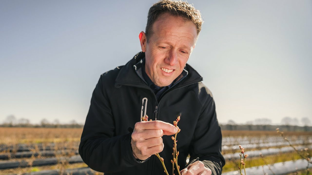 Mark van der Werf Mark van der Werf