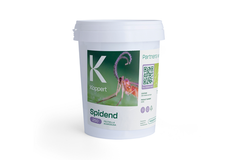 Spidend