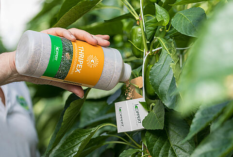 'EU regulations obstruct biological crop protection'