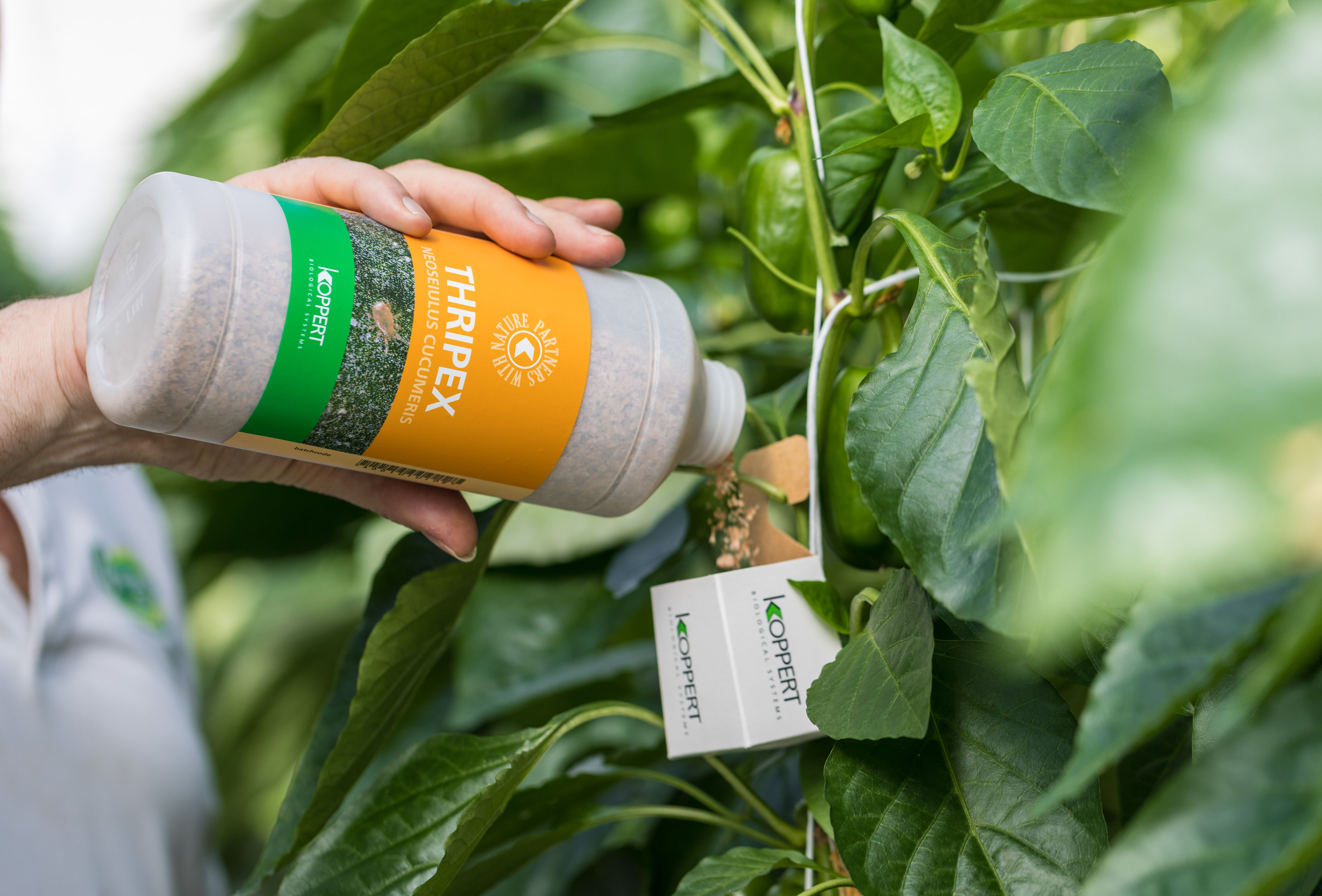 'EU regulations obstruct biological crop protection'