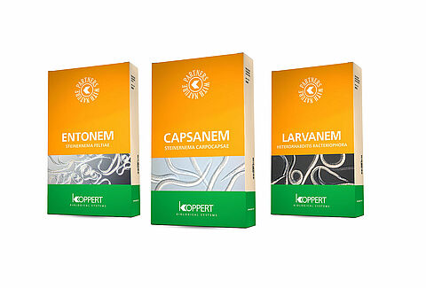 Koppert nematodes available in large packs
