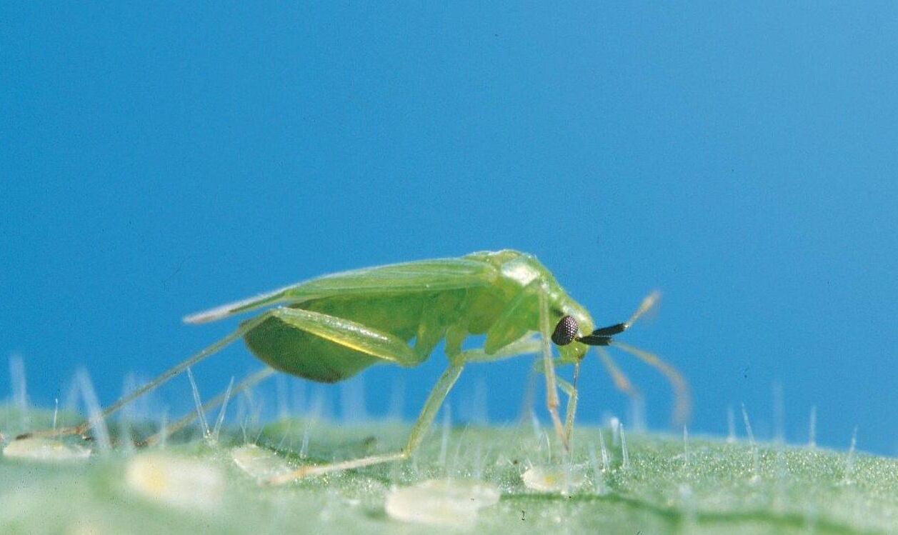 New year, new season: a good start.