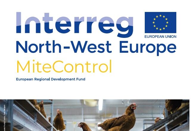 Koppert involved in new project aiming for sustainable control of poultry red mite