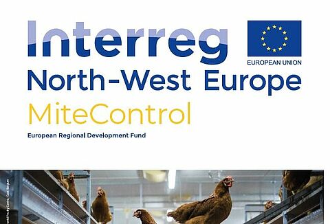 Koppert involved in new project aiming for sustainable control of poultry red mite