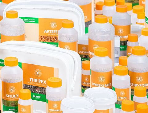 Seven products registered in Saudi Arabia