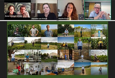Inspiring webinar series on Plant Health