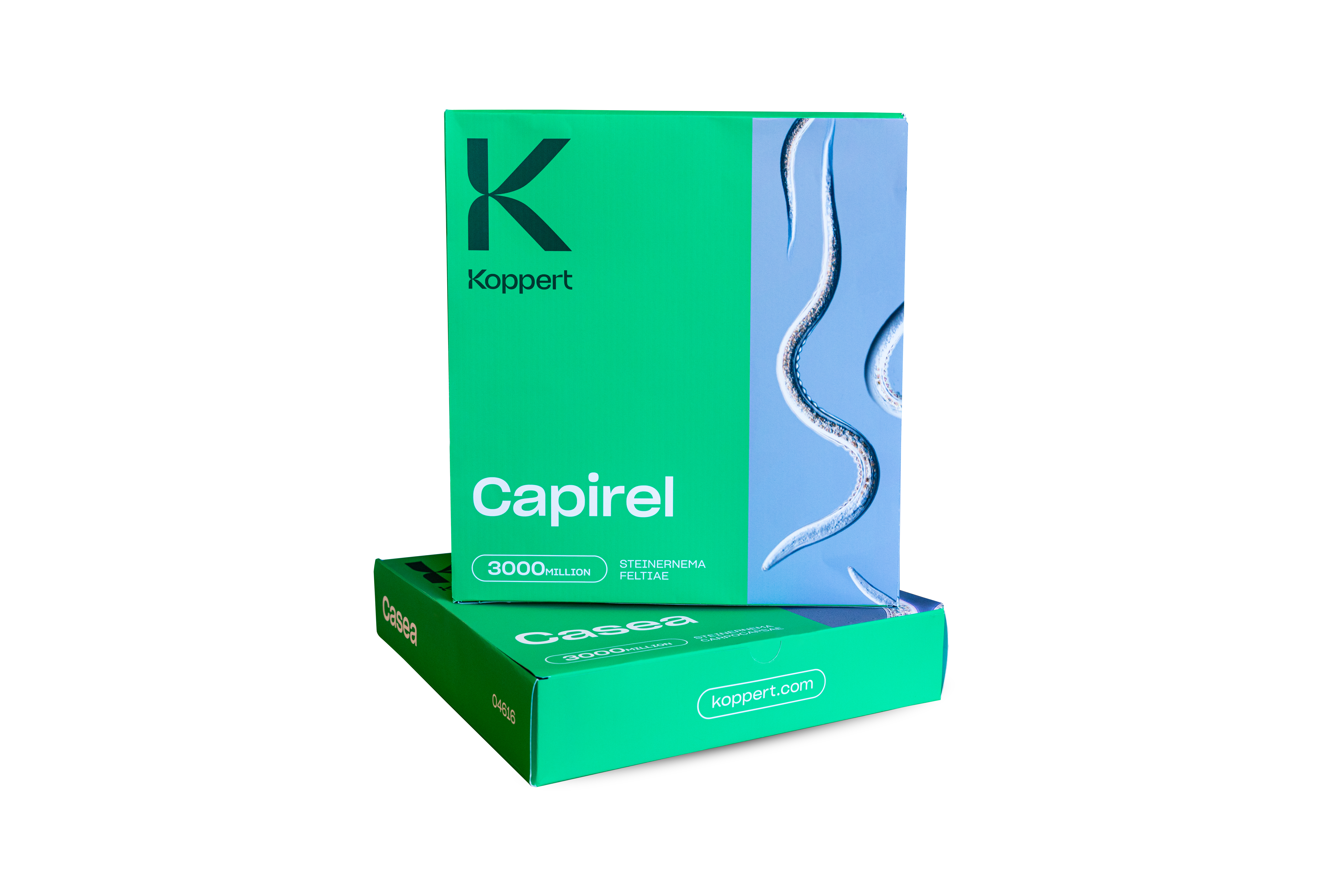 Koppert introduces nematode solutions for agricultural pests