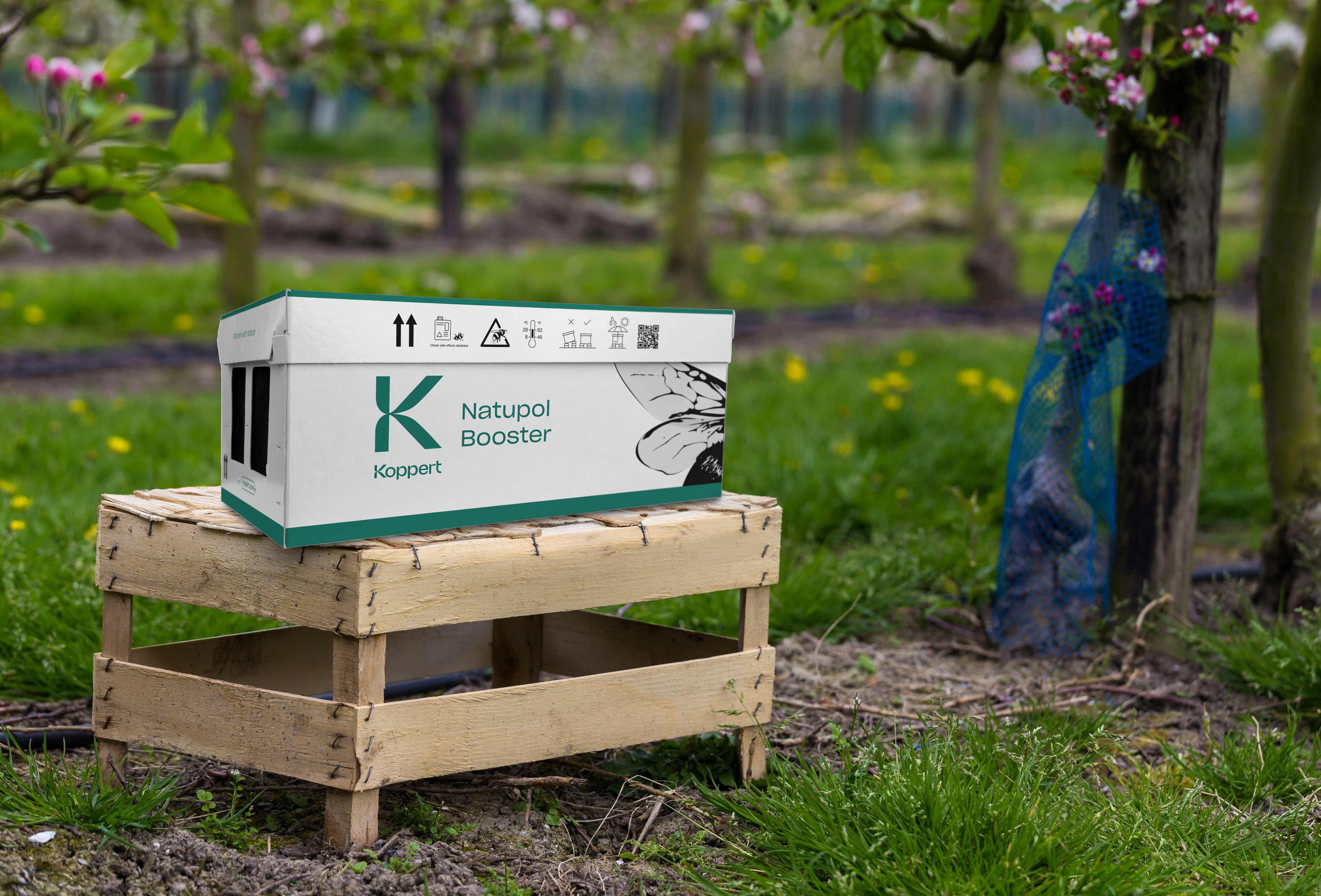 Unveiling the Buzz - Outdoor pollination products with a new look from Spring 2024