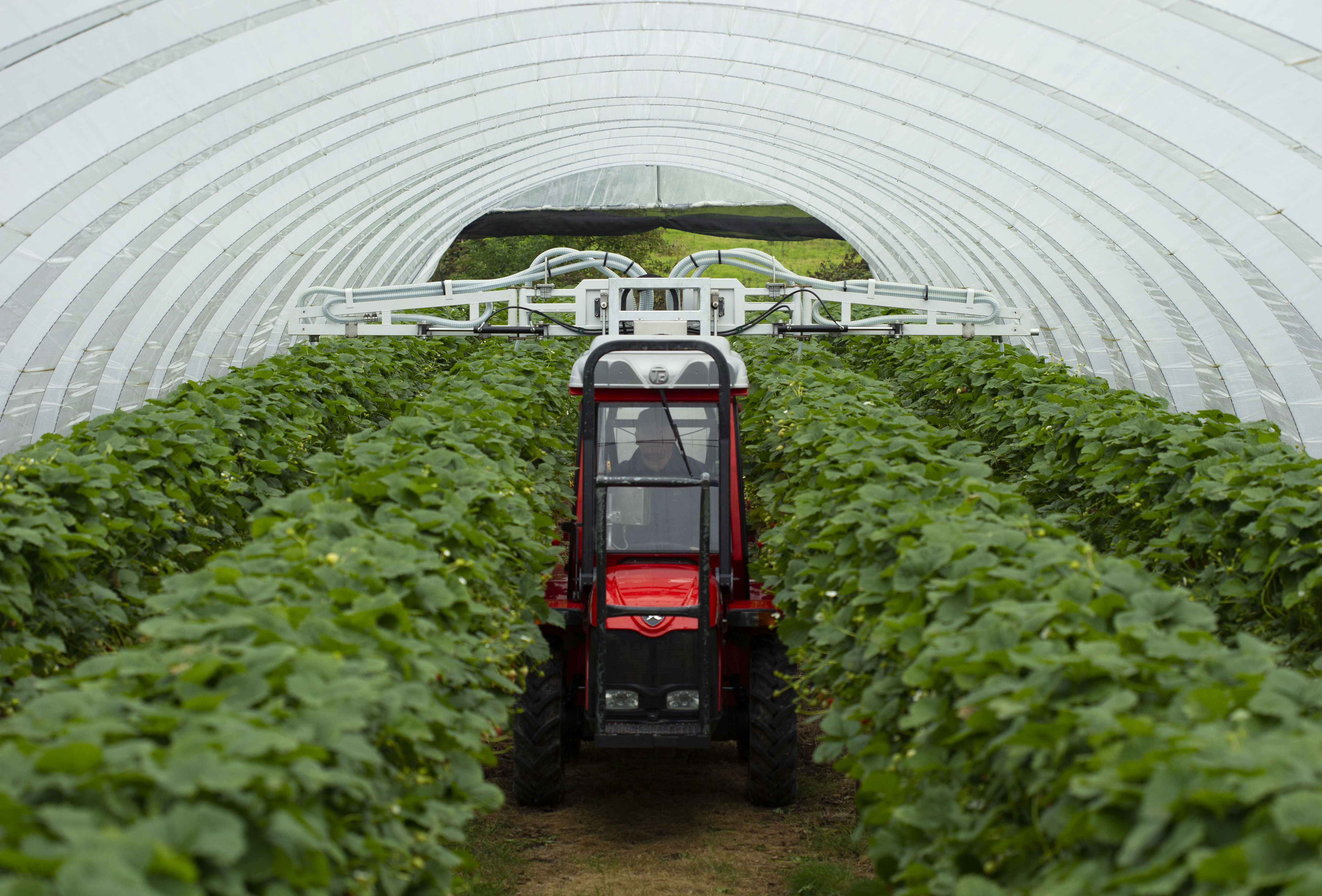 Koppert introduces Natutec Drive