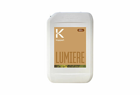 Lumiere