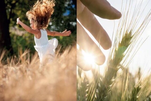 Koppert present and sponsor of  Global Forum for Innovations in Agriculture (GFIA) in Abu Dhabi