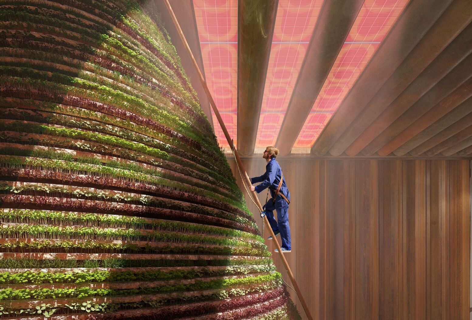 Koppert sponsor of The Netherlands Pavilion at Expo 2020 Dubai