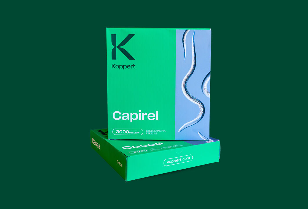 Koppert's beneficial nematodes: new look and ready for the future