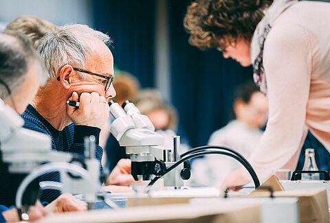 International Training Course Entomology  - 19 - 22 March 2018