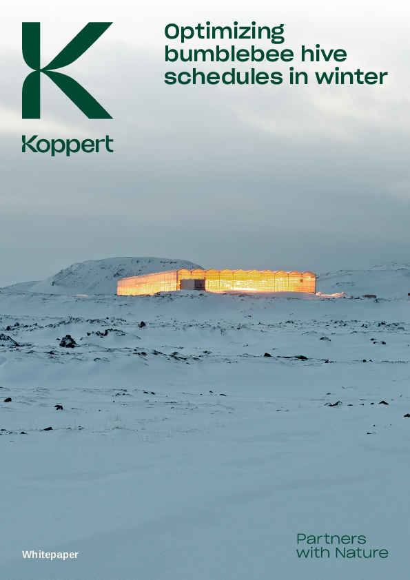 Optimizing bumblebee hive schedules in winter