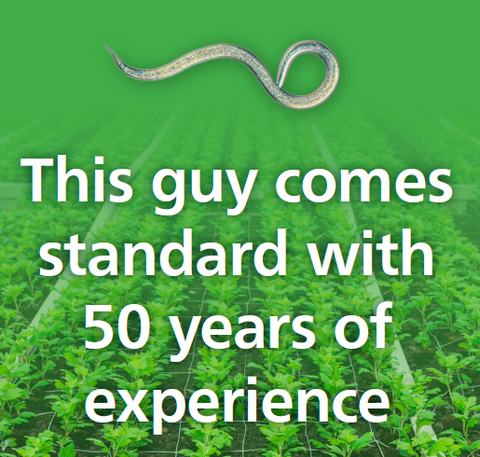 This guy comes standard with 50 years experience