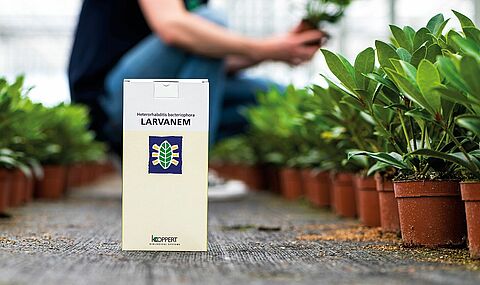 Larvanem - The number one product against vine weevil for 25 years