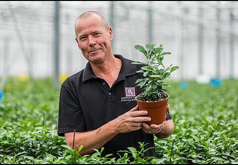 Strong results with NatuGro in exclusive cresses