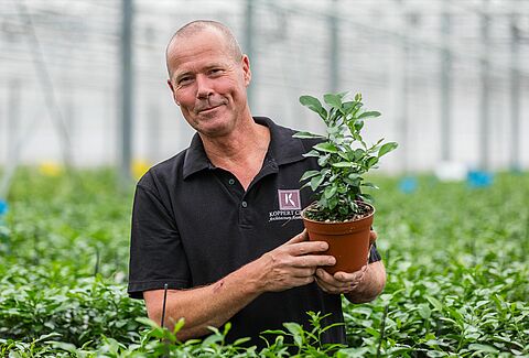 Strong results with NatuGro in exclusive cresses