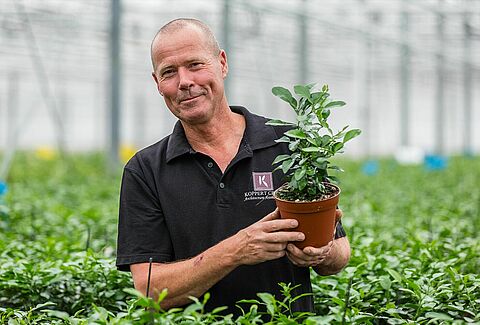 Strong results with NatuGro in exclusive cresses