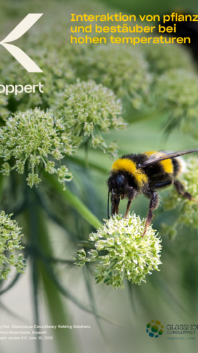 Wichtige Hinweise zur Bestäubung bei hohen Temperaturen