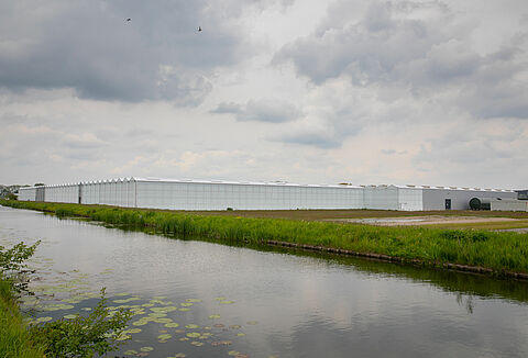 Energy saving success during the rearing of natural enemies