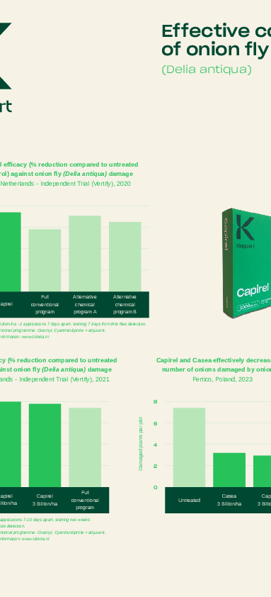 Effective control of onion and bean seed fly