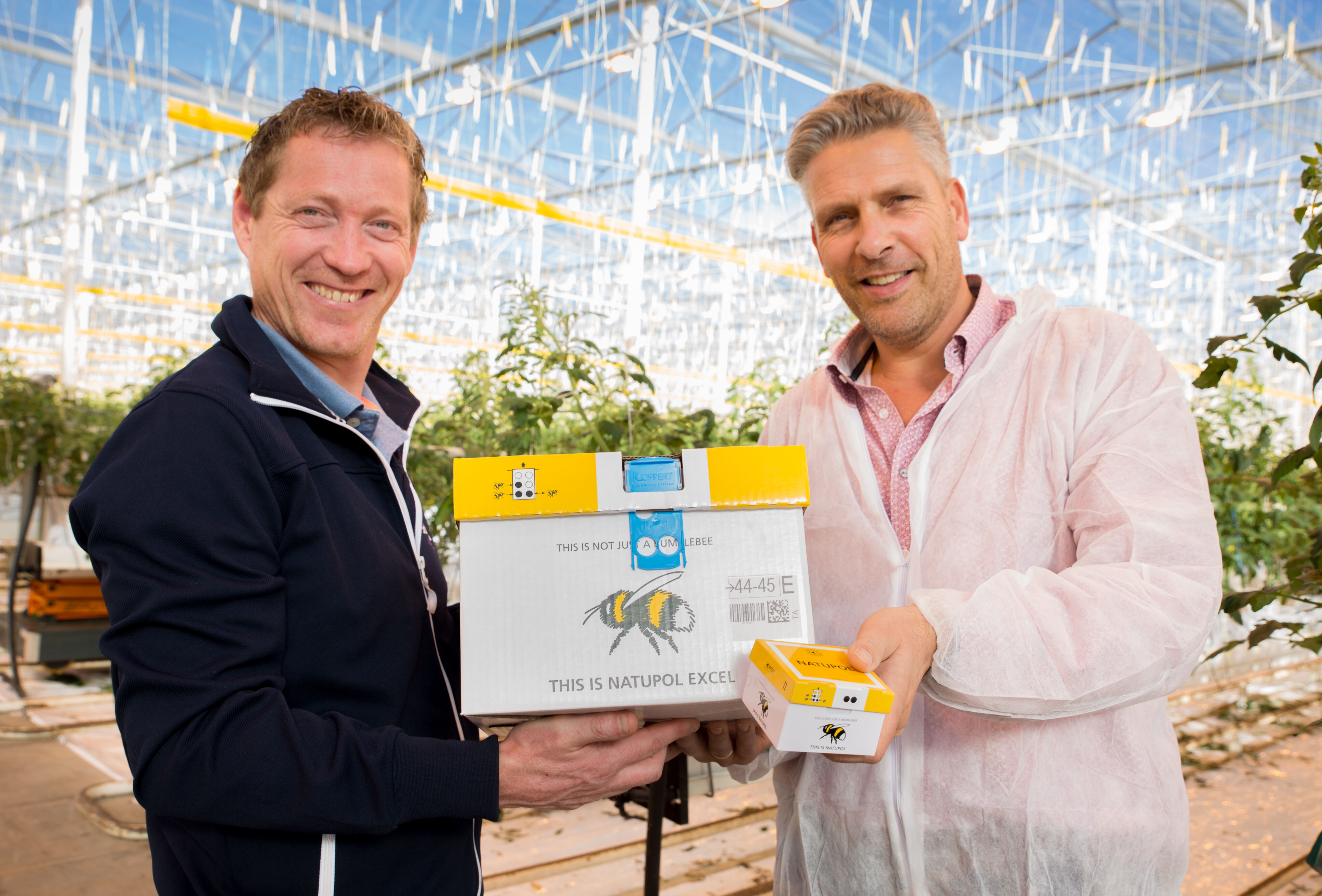 Koppert introduces bumblebee orientation breakthrough in a new range of pollination products