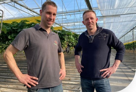 “Empowering our strawberry plants through nutrition has helped us to become a more reliable supplier”