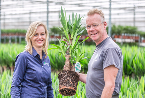 Forever Plants: getting closer to the best environment for plants