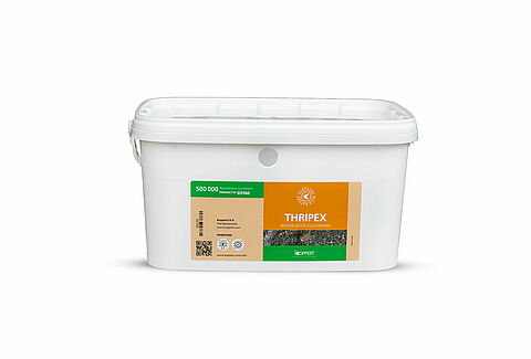 Thripex with more punch | Now available in bulk
